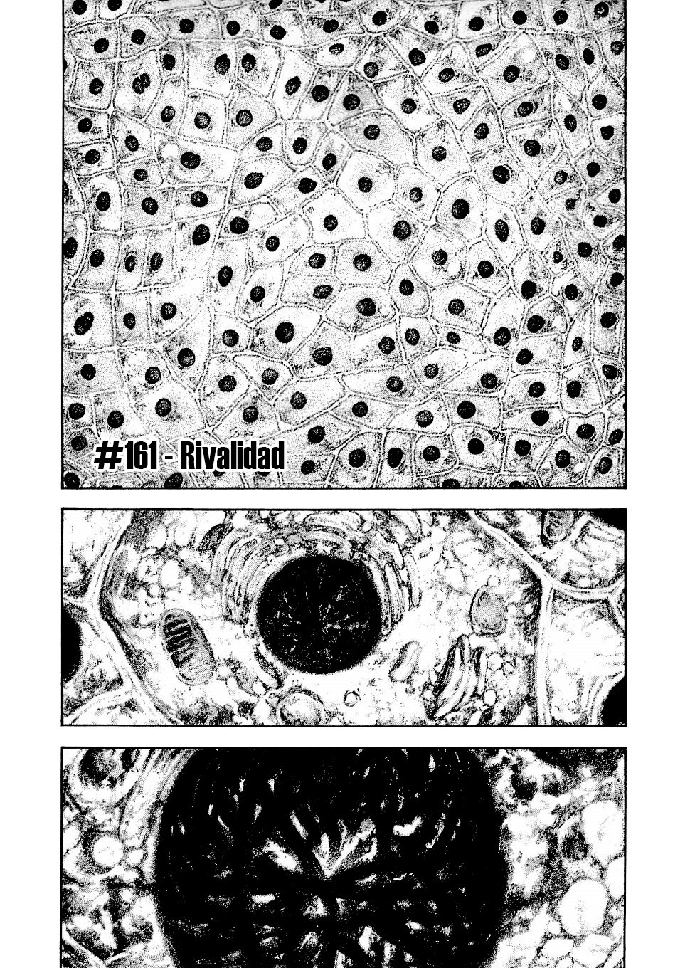 Read Ascension The Climber Español Manga Online