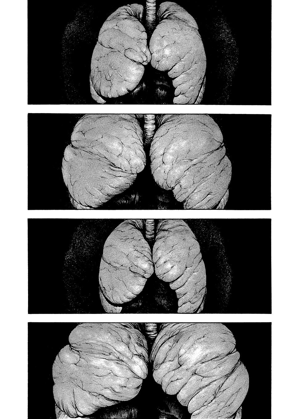 Read Ascension The Climber Español Manga Online