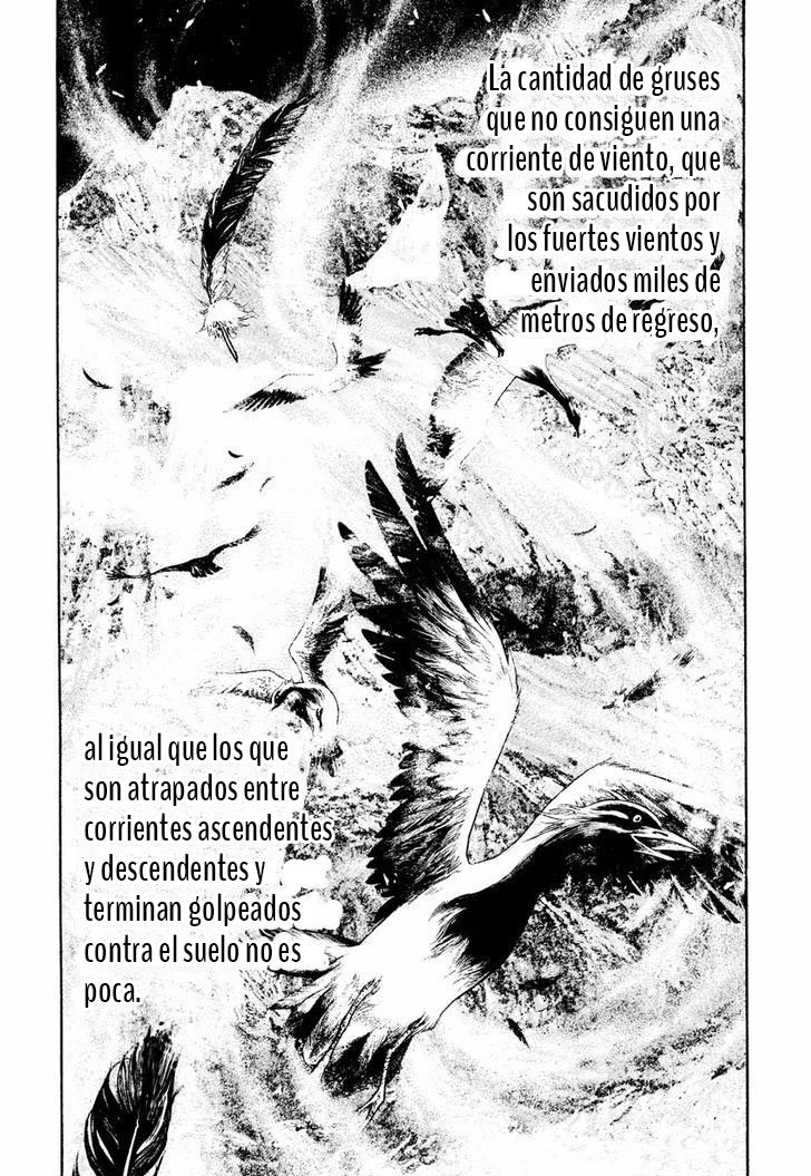 Read Ascension The Climber Español Manga Online