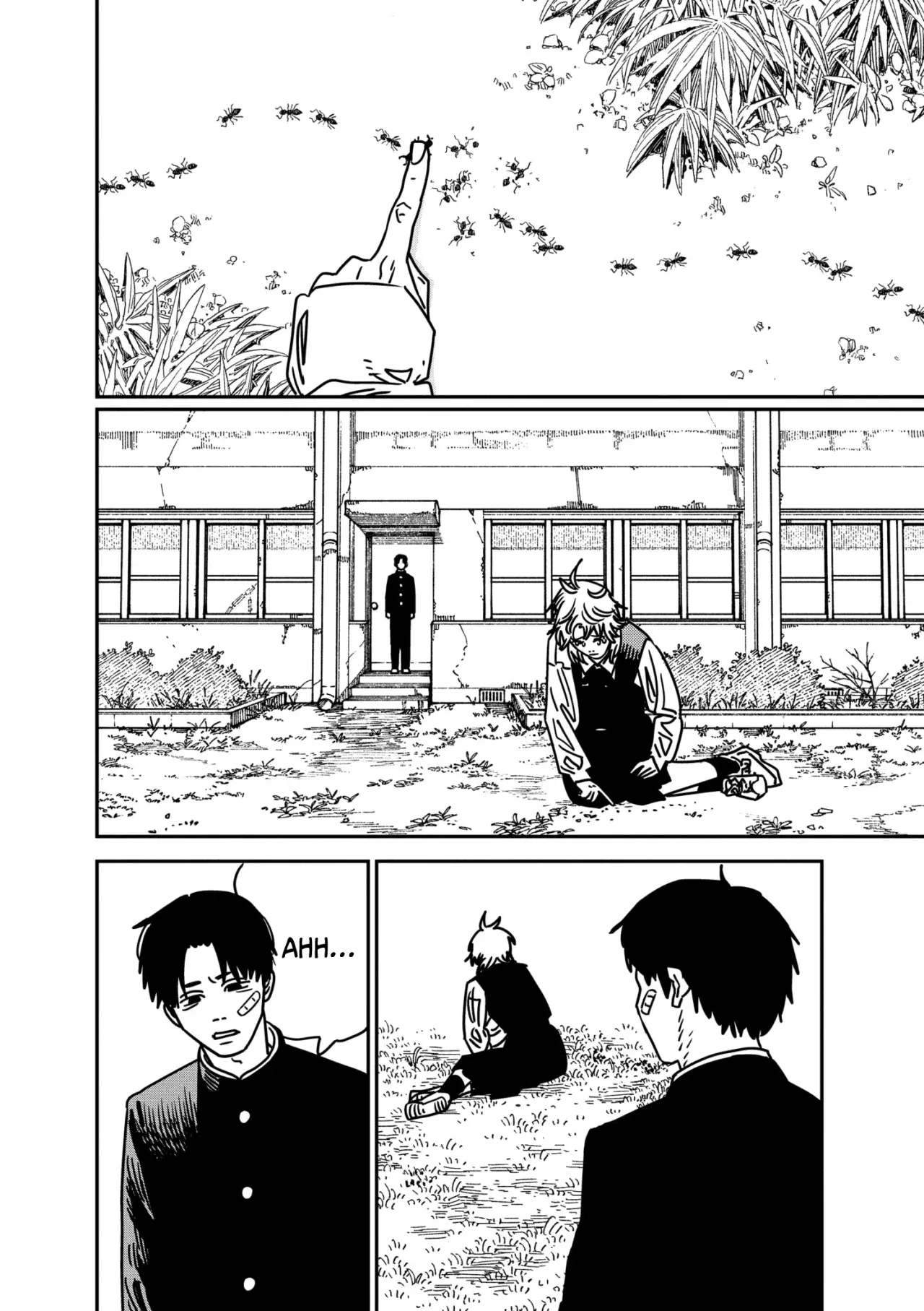 Read Chainsaw Man Español Manga Online