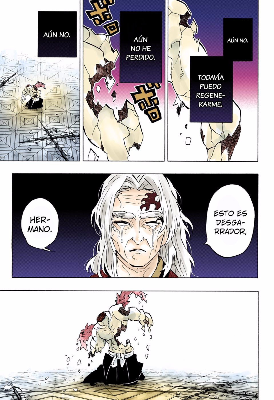 Read Demon Slayer_ Kimetsu no Yaiba Español Manga Online