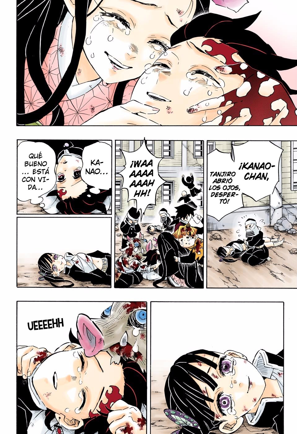 Read Demon Slayer_ Kimetsu no Yaiba Español Manga Online