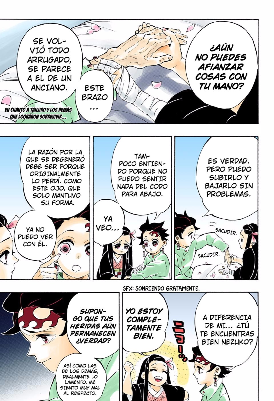 Read Demon Slayer_ Kimetsu no Yaiba Español Manga Online