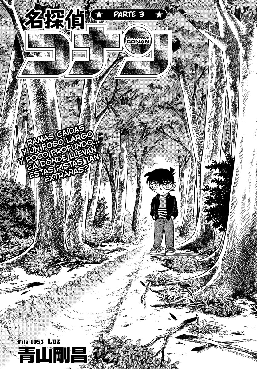 Read Detective Conan Español Manga Online