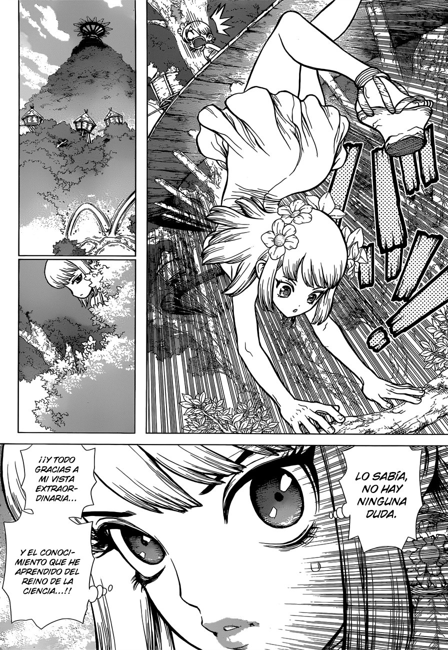 Read Dr. Stone Español Manga Online