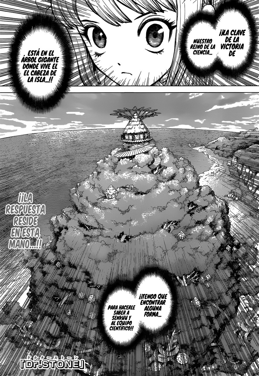 Read Dr. Stone Español Manga Online