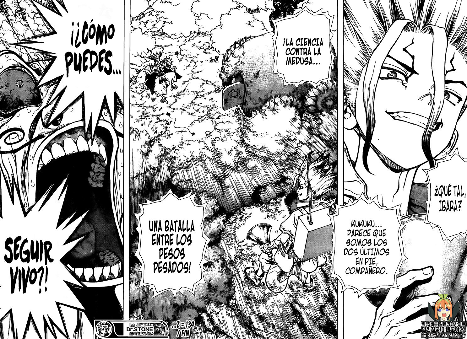 Read Dr. Stone Español Manga Online