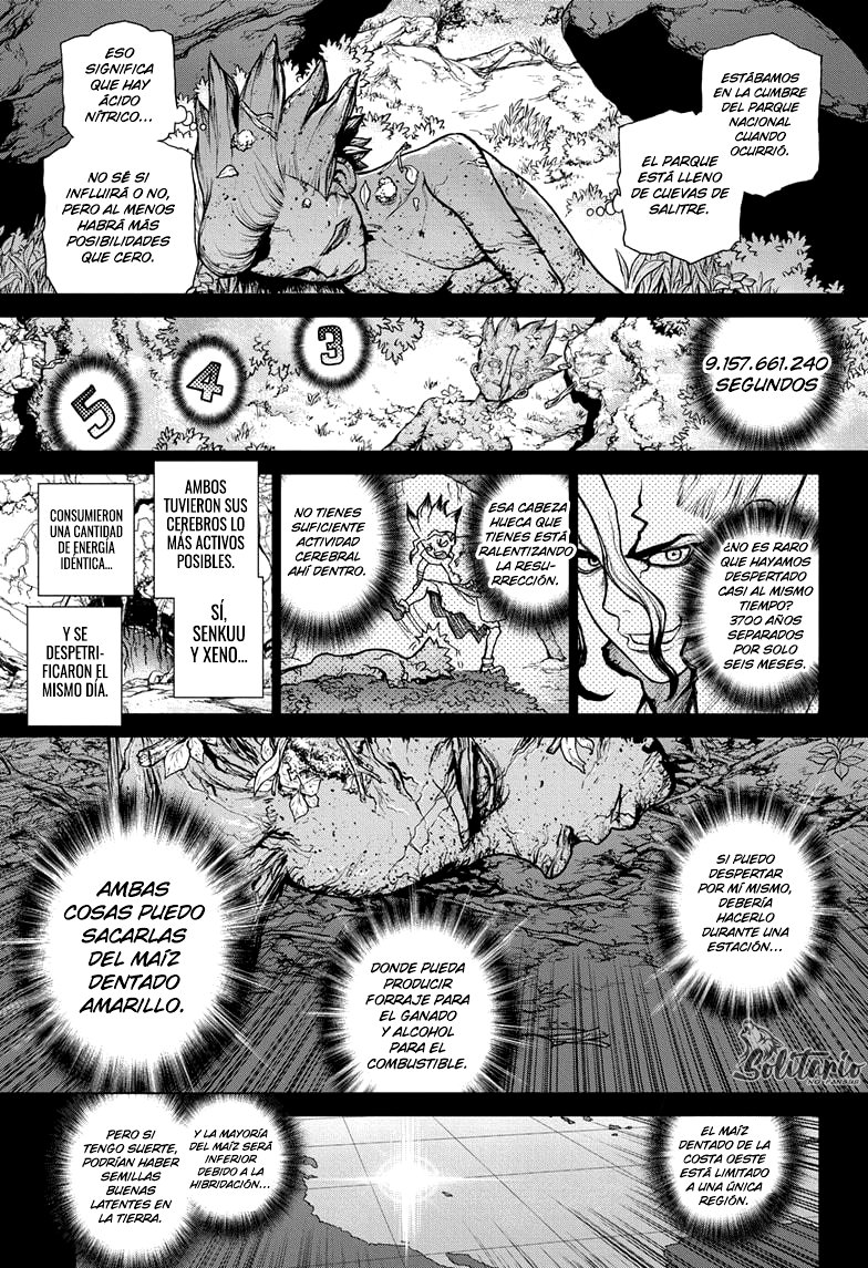 Read Dr. Stone Español Manga Online