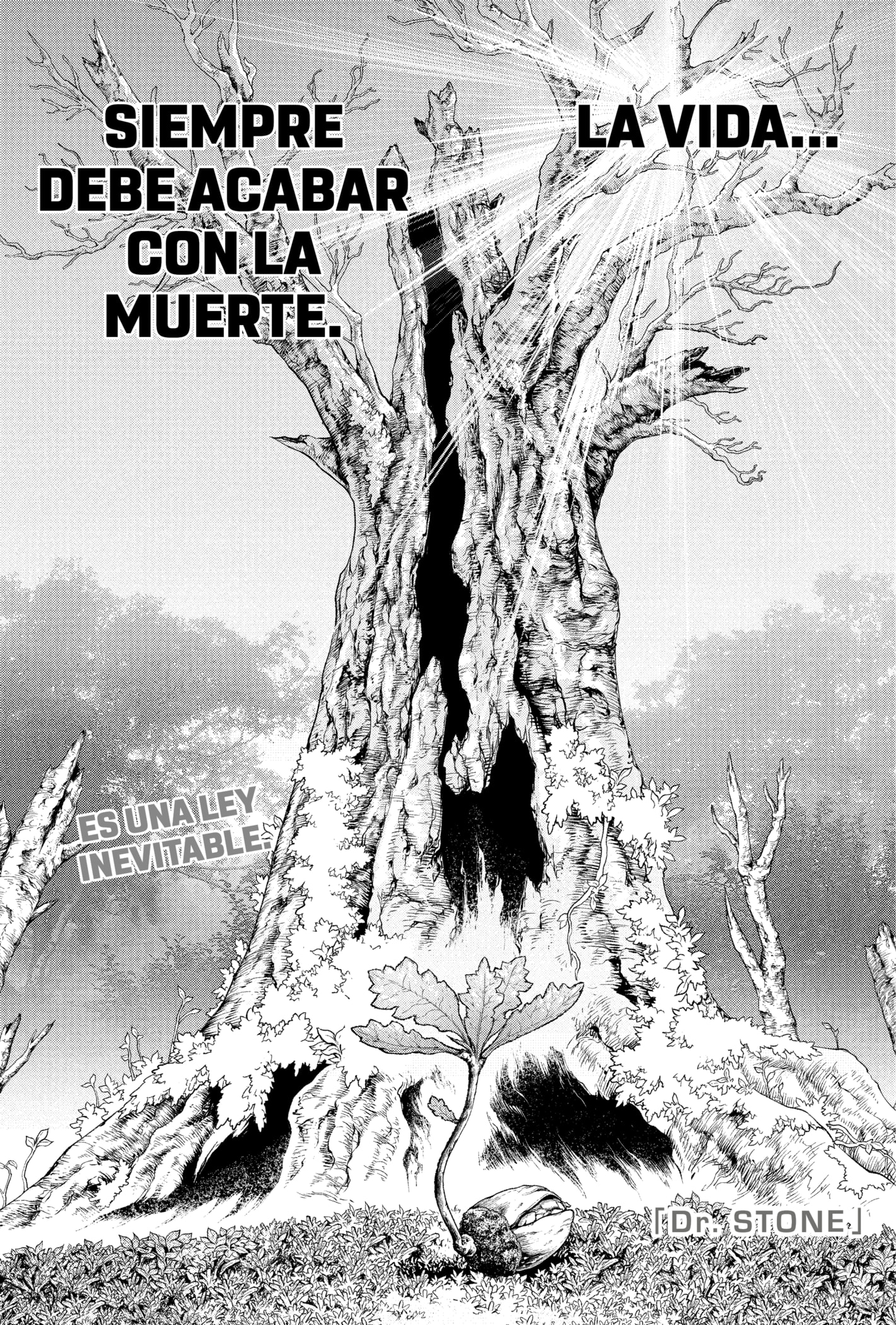 Read Dr. Stone Español Manga Online