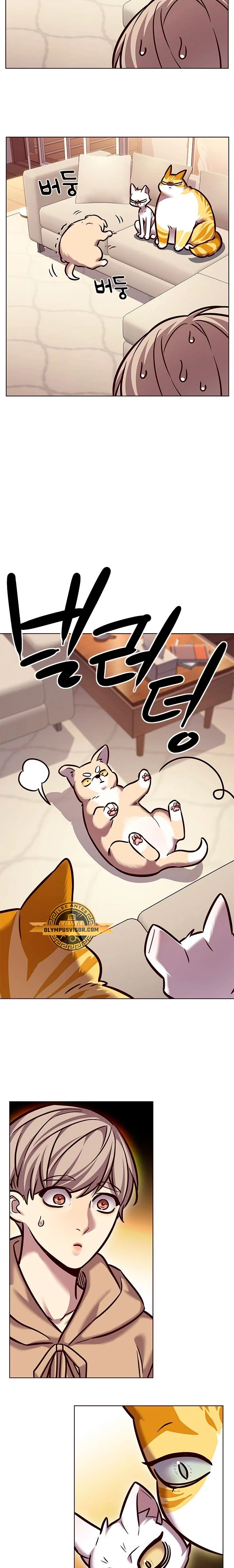 Read Eleceed Español Manga Online