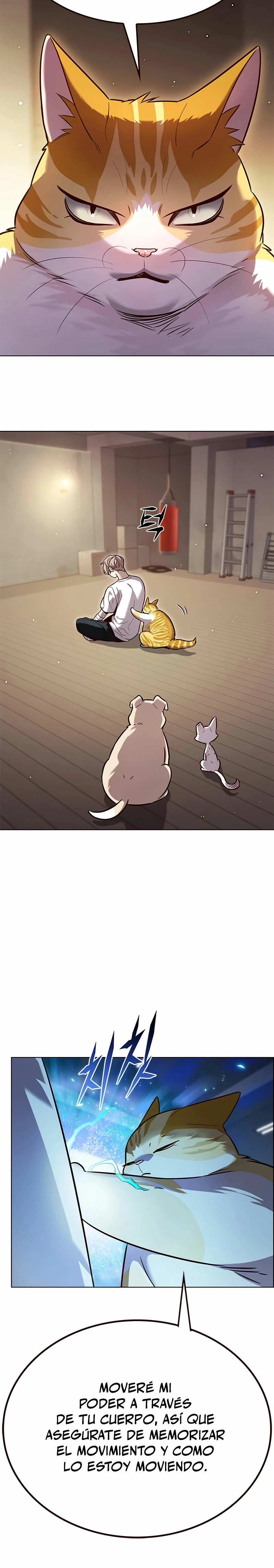 Read Eleceed Español Manga Online