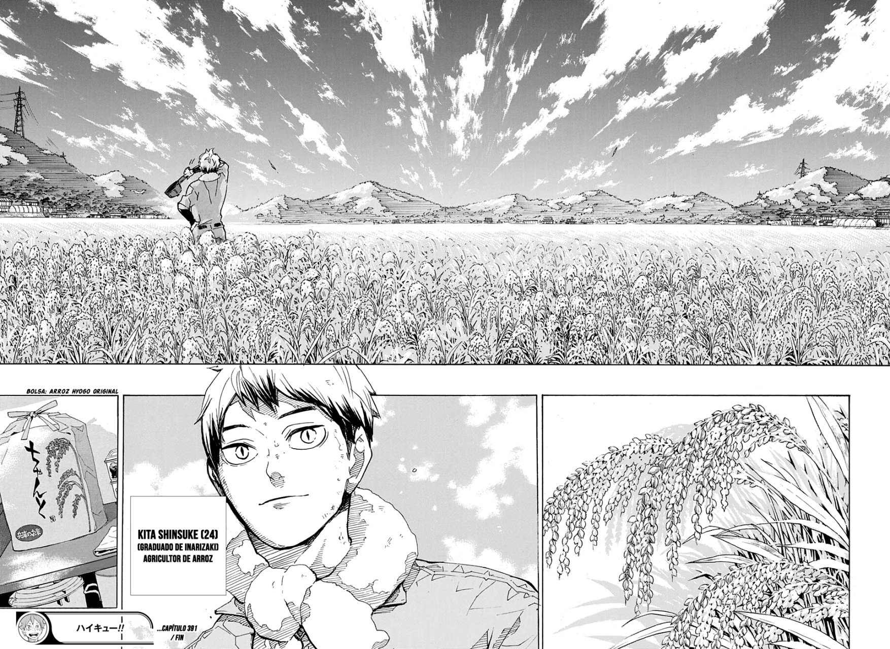 Read Haikyu!! Español Manga Online