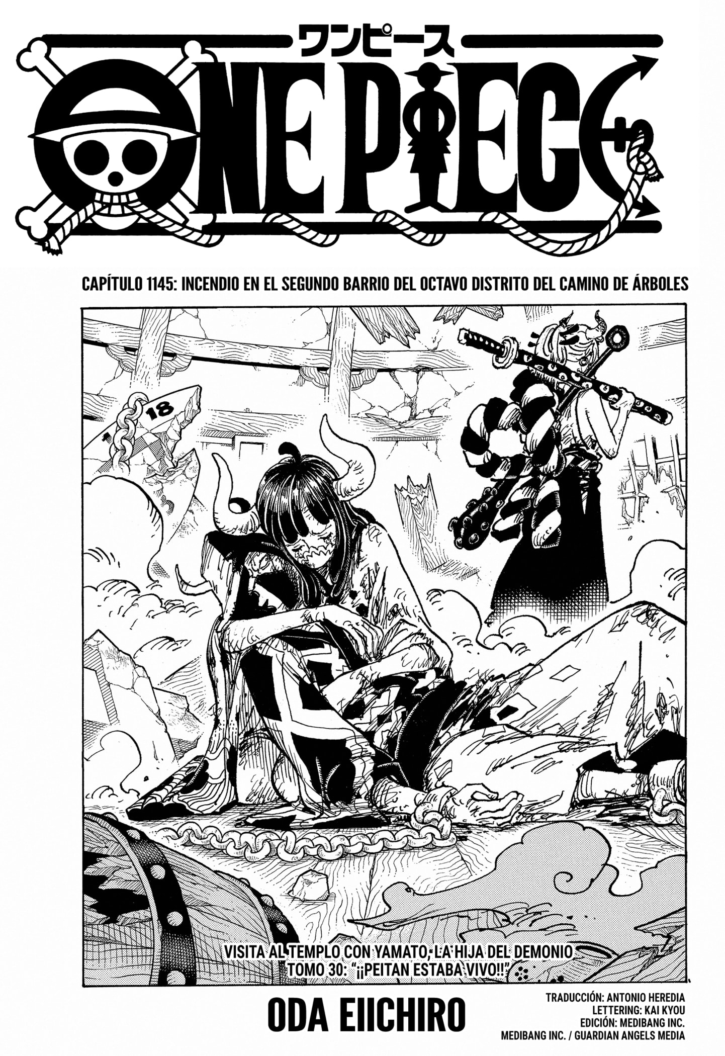 Read One Piece Español Manga Online