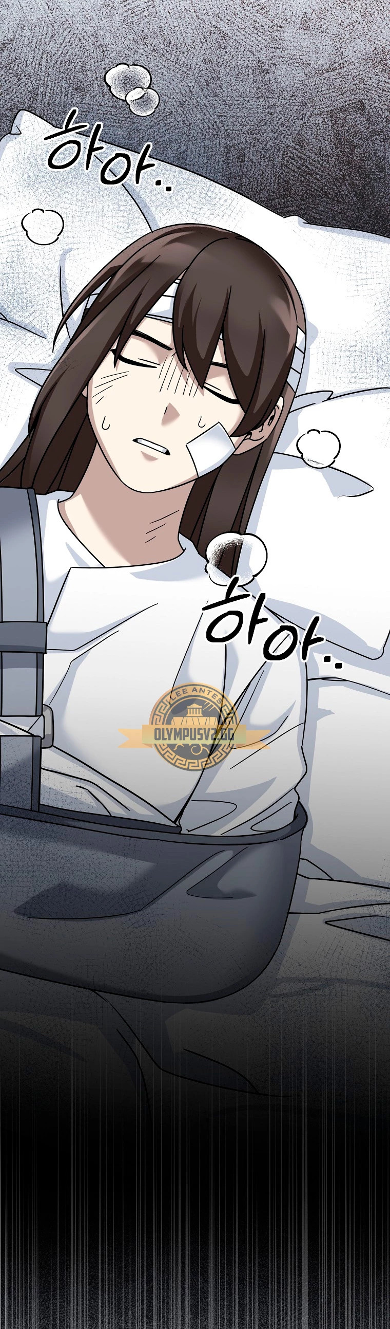 Read The Newbie is Too Strong Español Manga Online