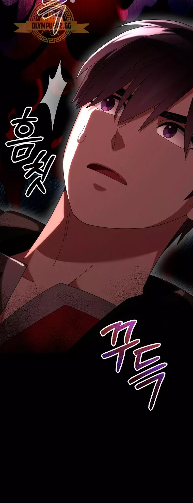 Read The Newbie is Too Strong Español Manga Online