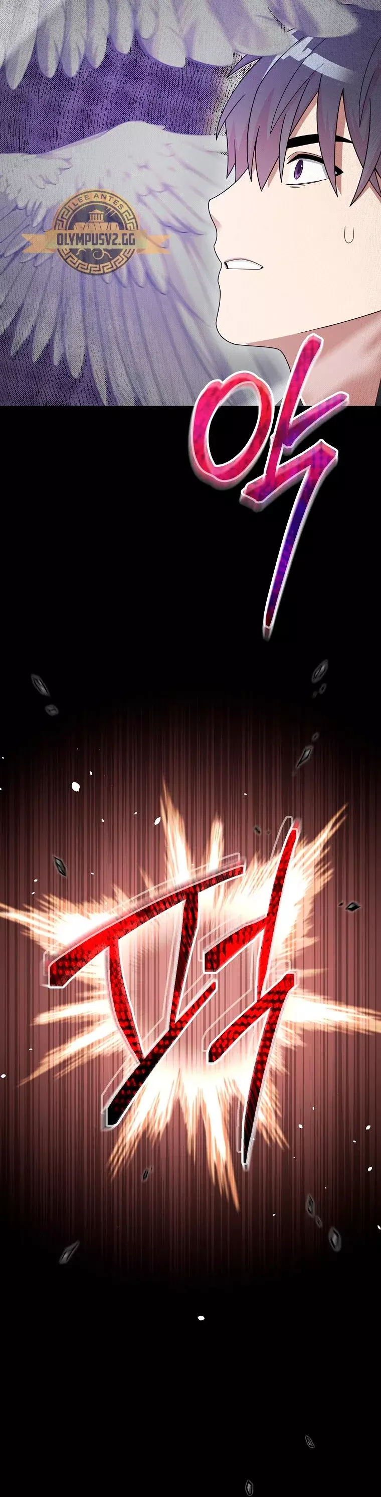 Read The Newbie is Too Strong Español Manga Online