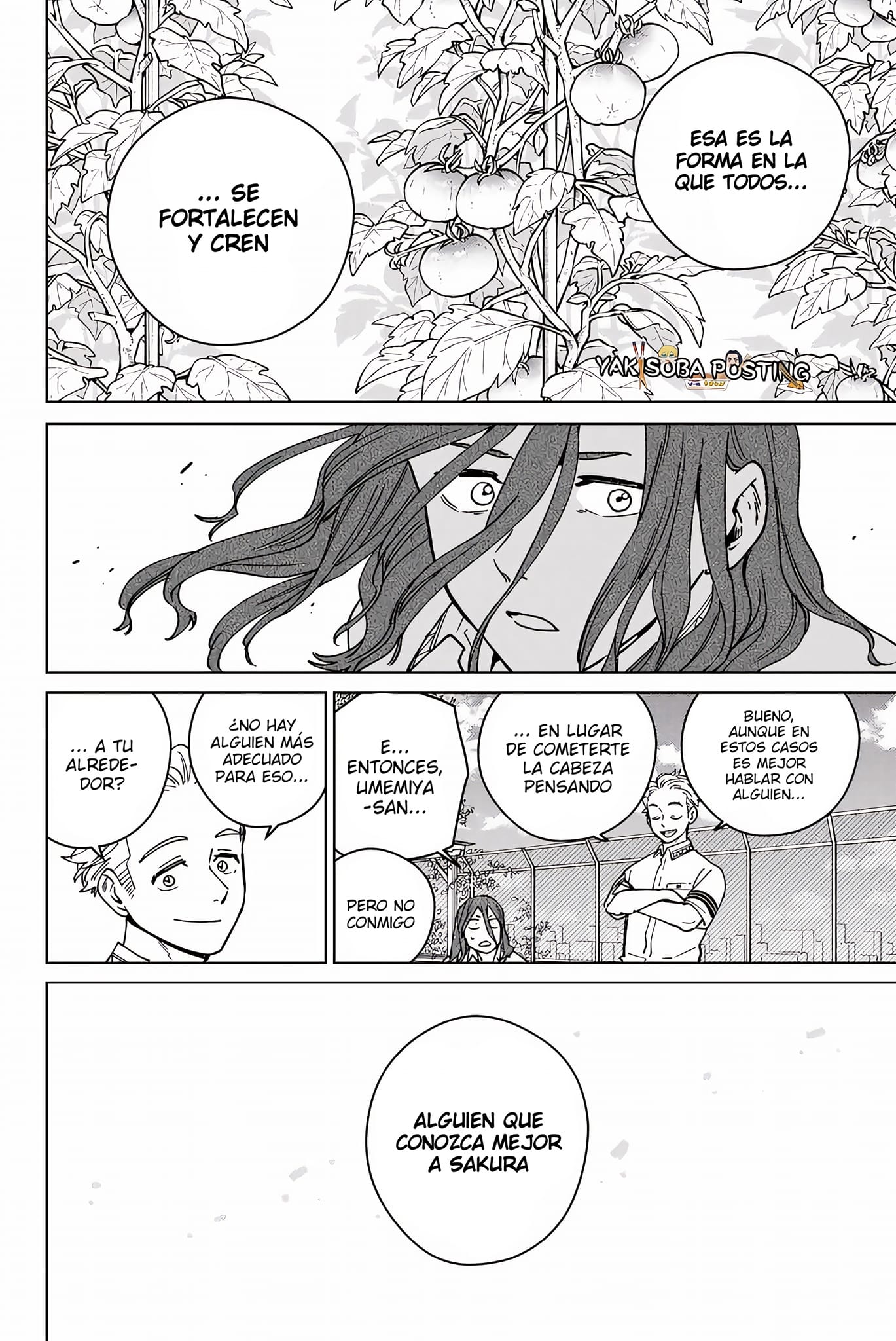 Read Wind Breaker Manga Español Manga Online