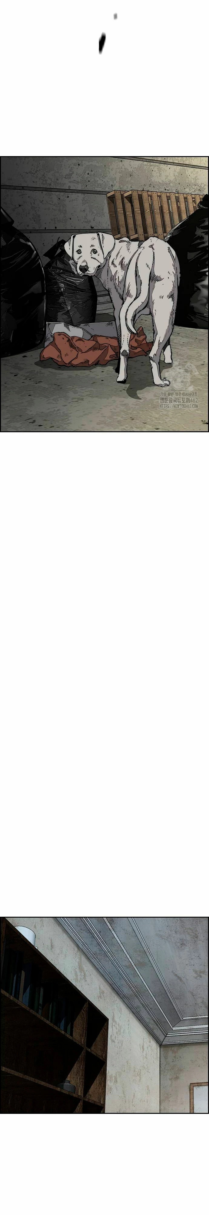 Read Wind Breaker Manhwa Español Manga Online