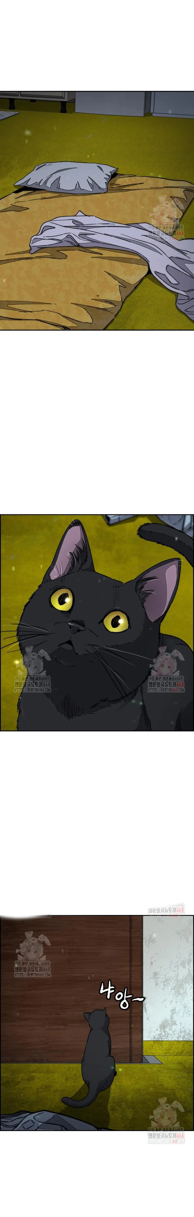 Read Wind Breaker Manhwa Español Manga Online