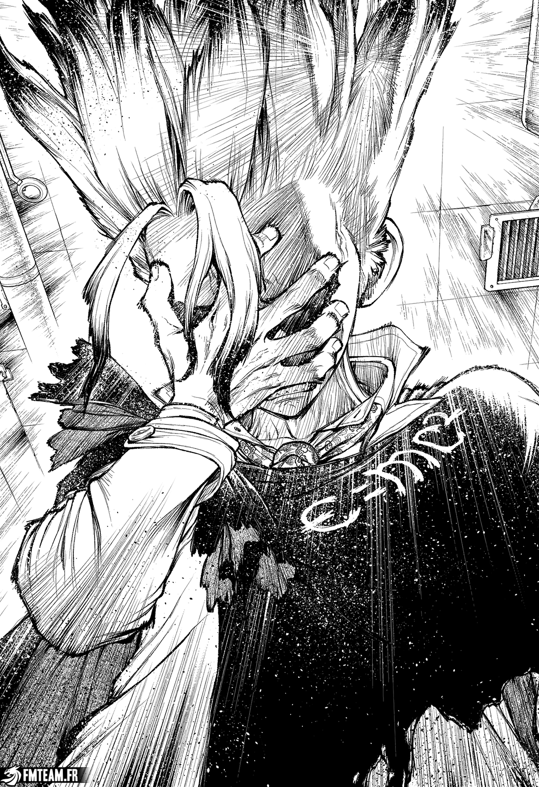 Read Dr. STONE 4D Science FRANCAIS Manga Online