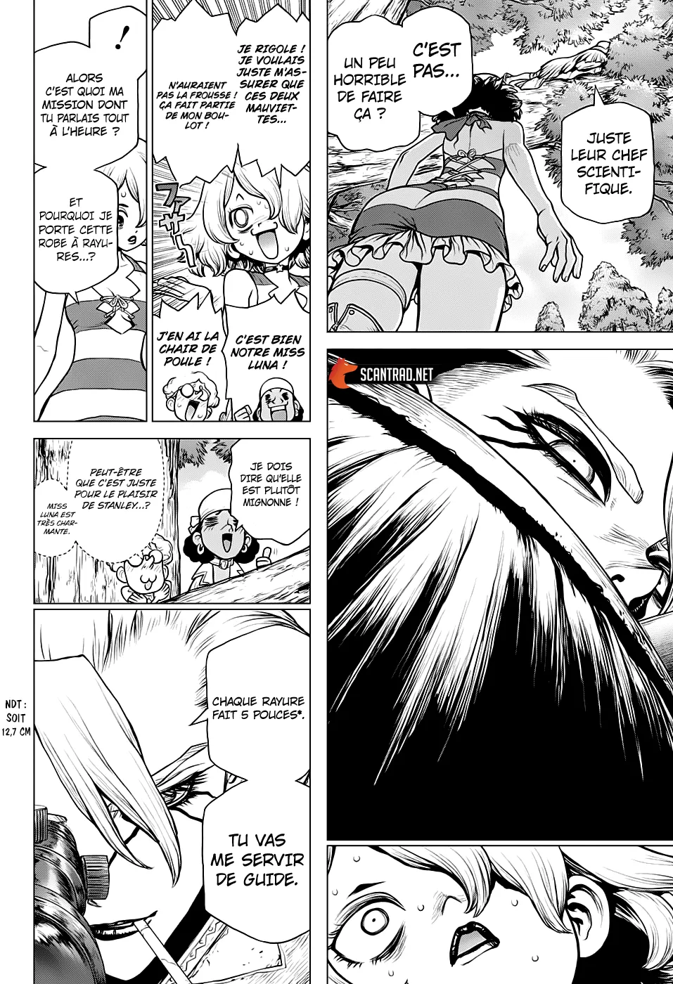 Read Dr. STONE FRANCAIS Manga Online