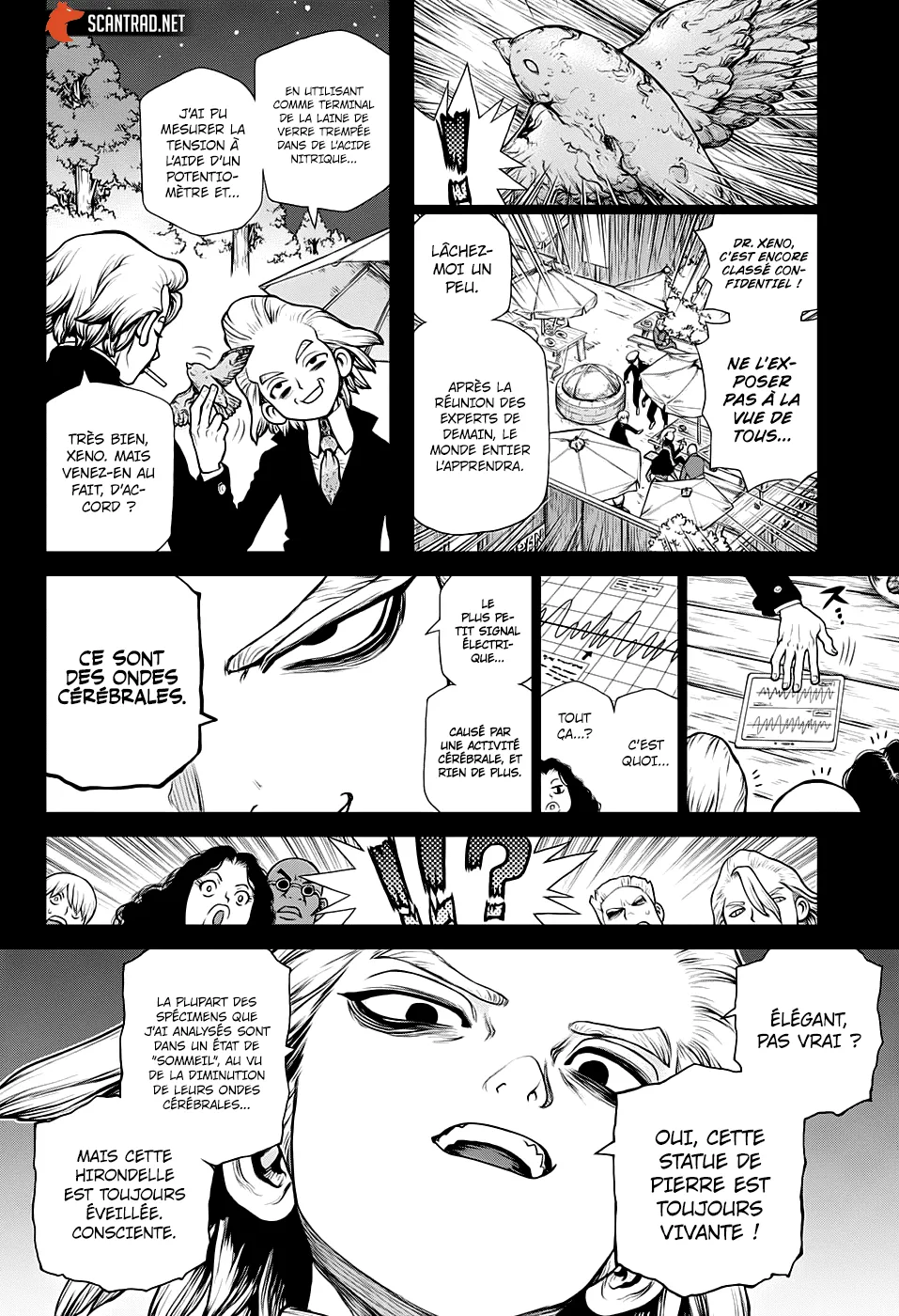 Read Dr. STONE FRANCAIS Manga Online