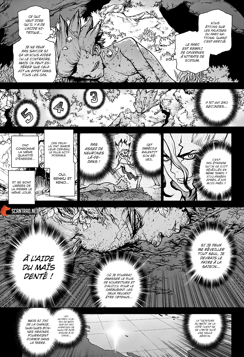 Read Dr. STONE FRANCAIS Manga Online