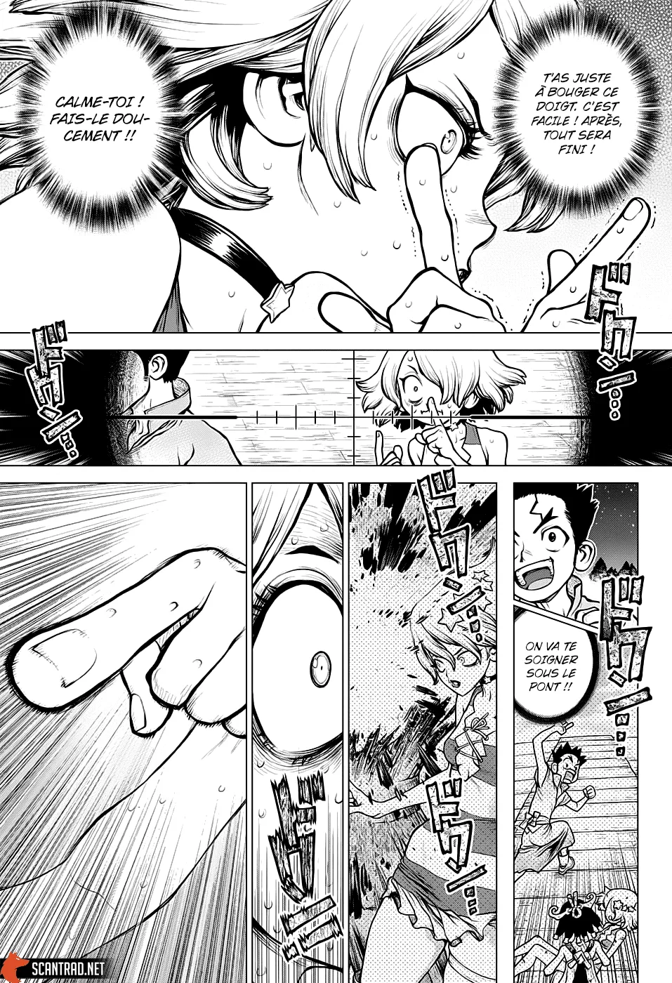 Read Dr. STONE FRANCAIS Manga Online