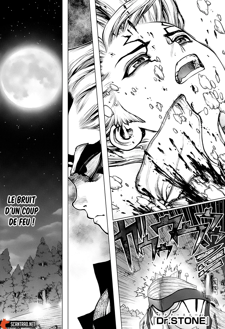 Read Dr. STONE FRANCAIS Manga Online