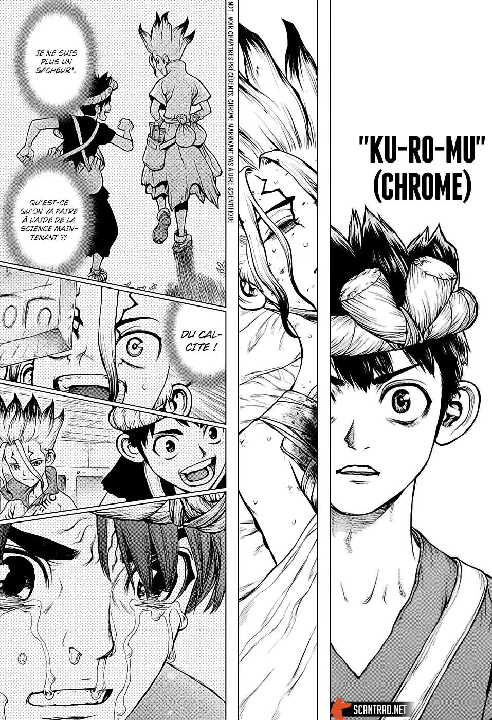 Read Dr. STONE FRANCAIS Manga Online
