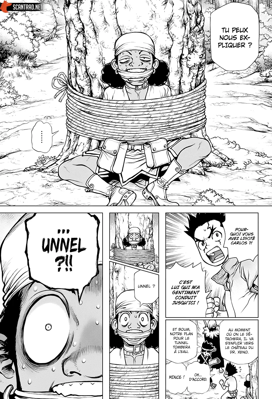 Read Dr. STONE FRANCAIS Manga Online