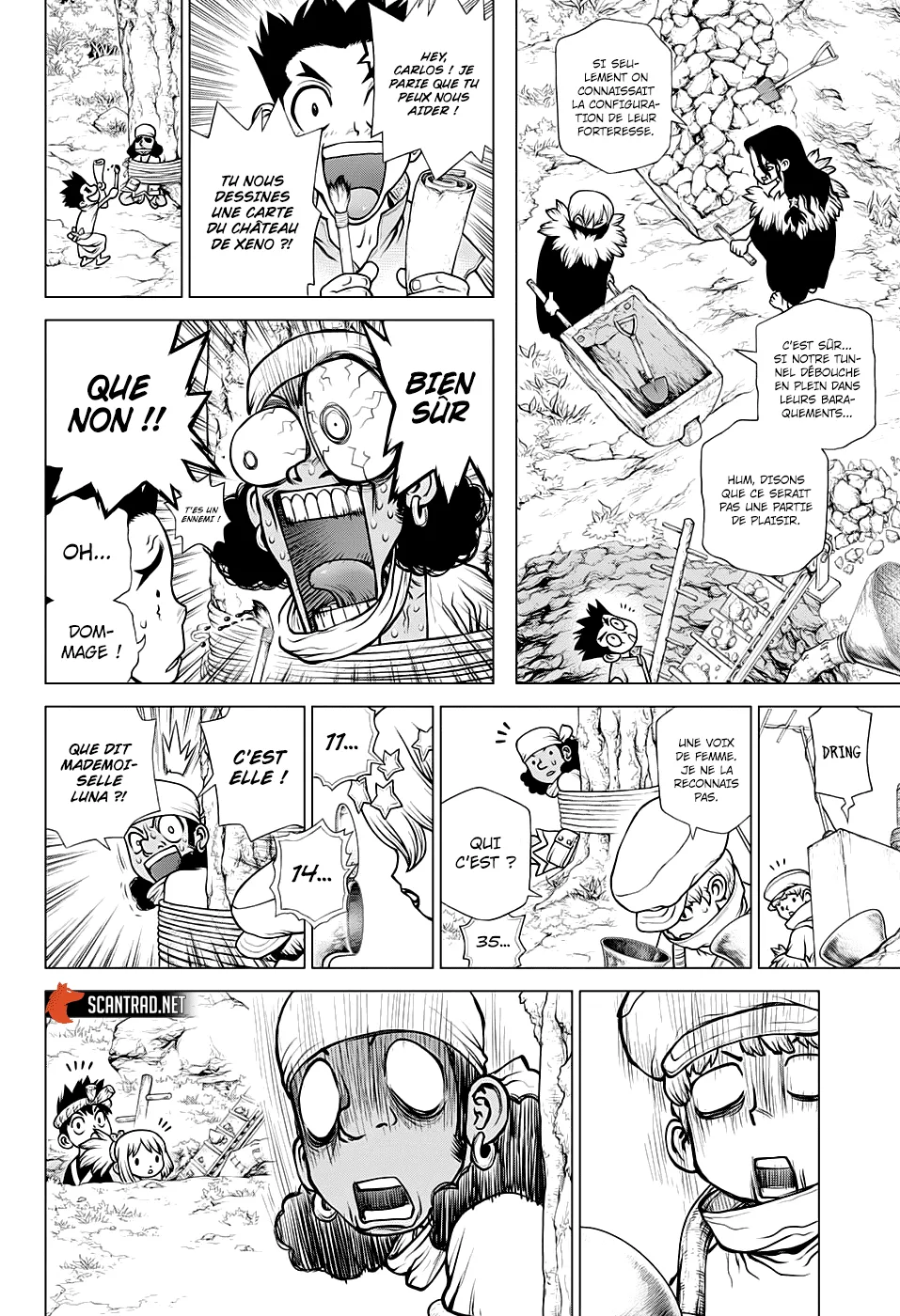 Read Dr. STONE FRANCAIS Manga Online