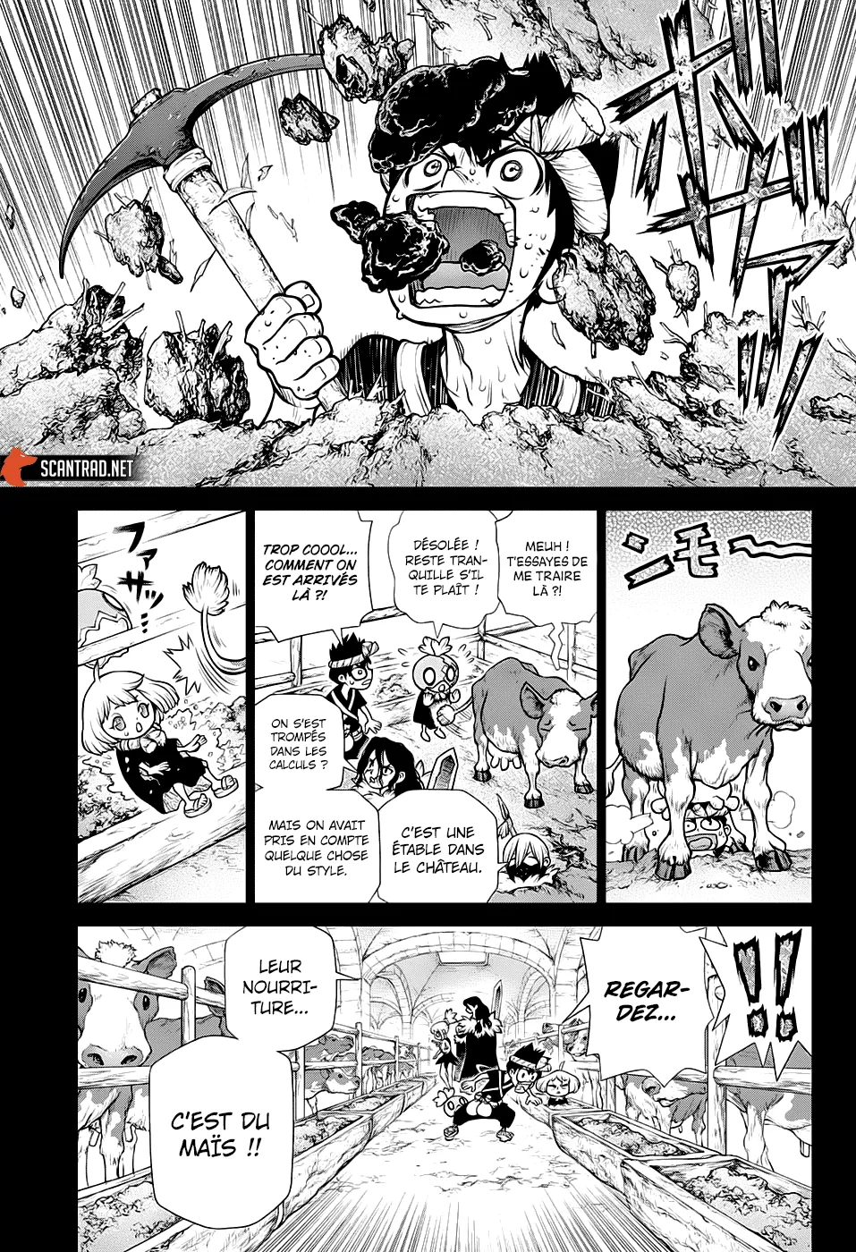 Read Dr. STONE FRANCAIS Manga Online