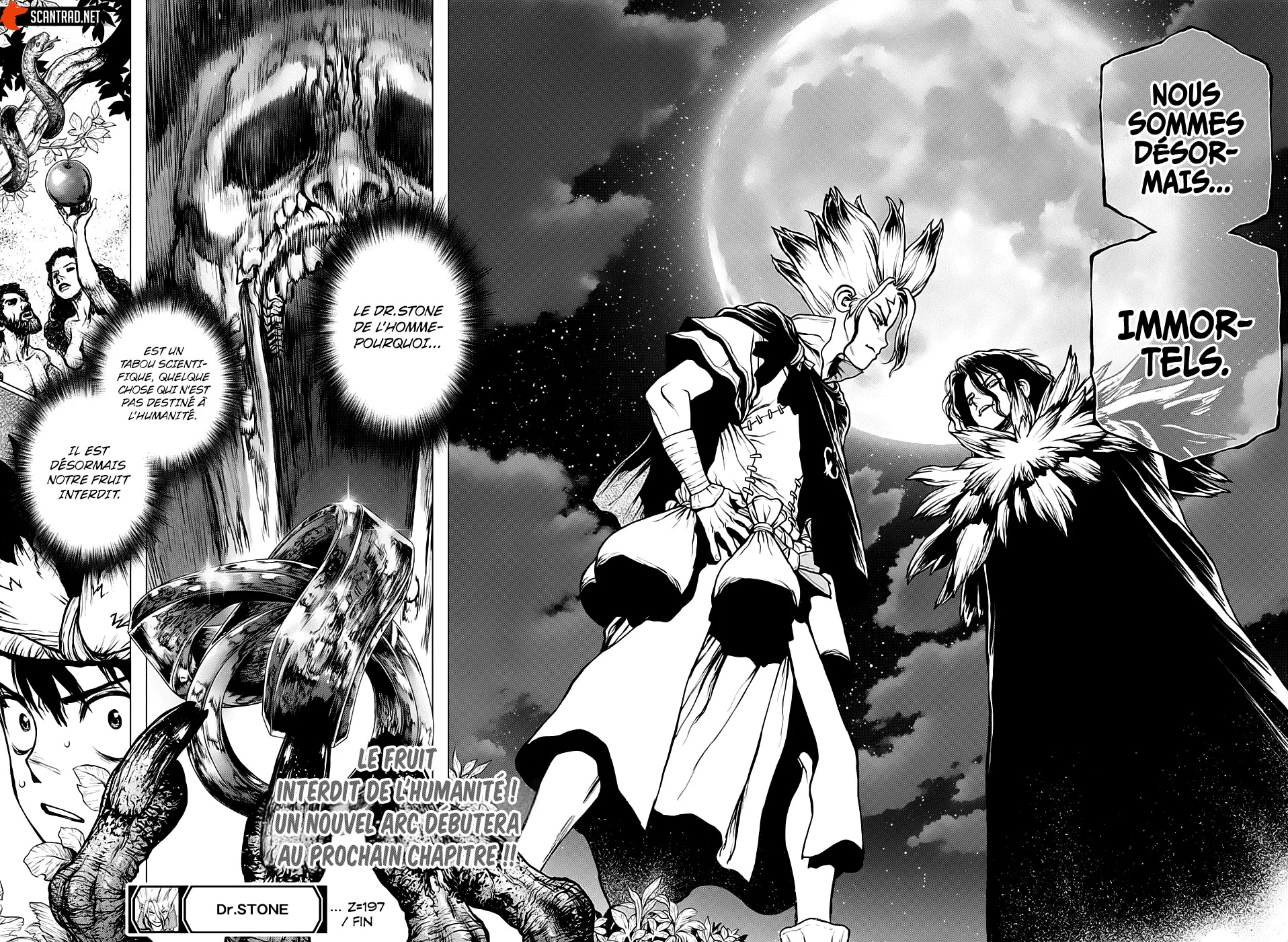 Read Dr. STONE FRANCAIS Manga Online