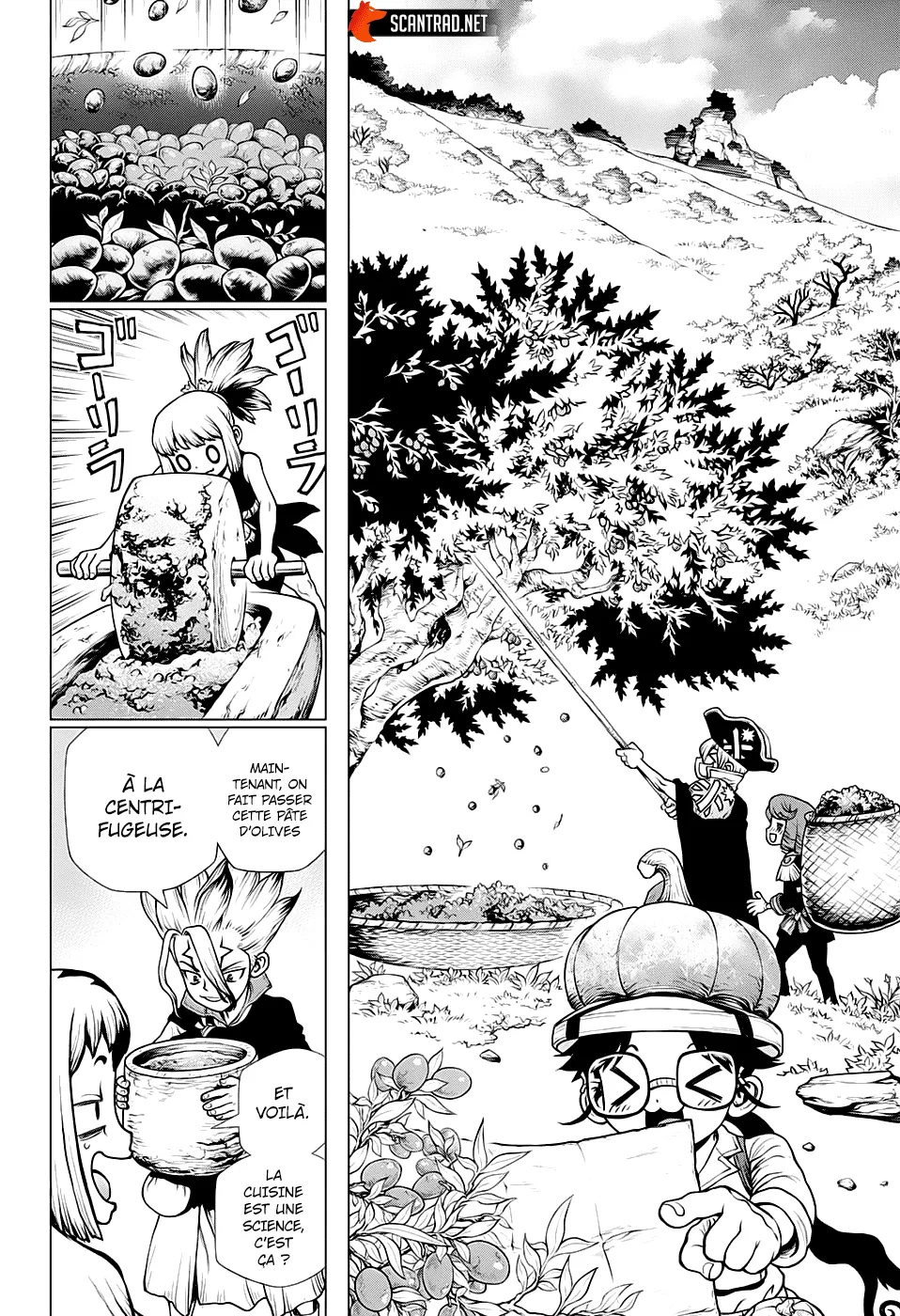 Read Dr. STONE FRANCAIS Manga Online