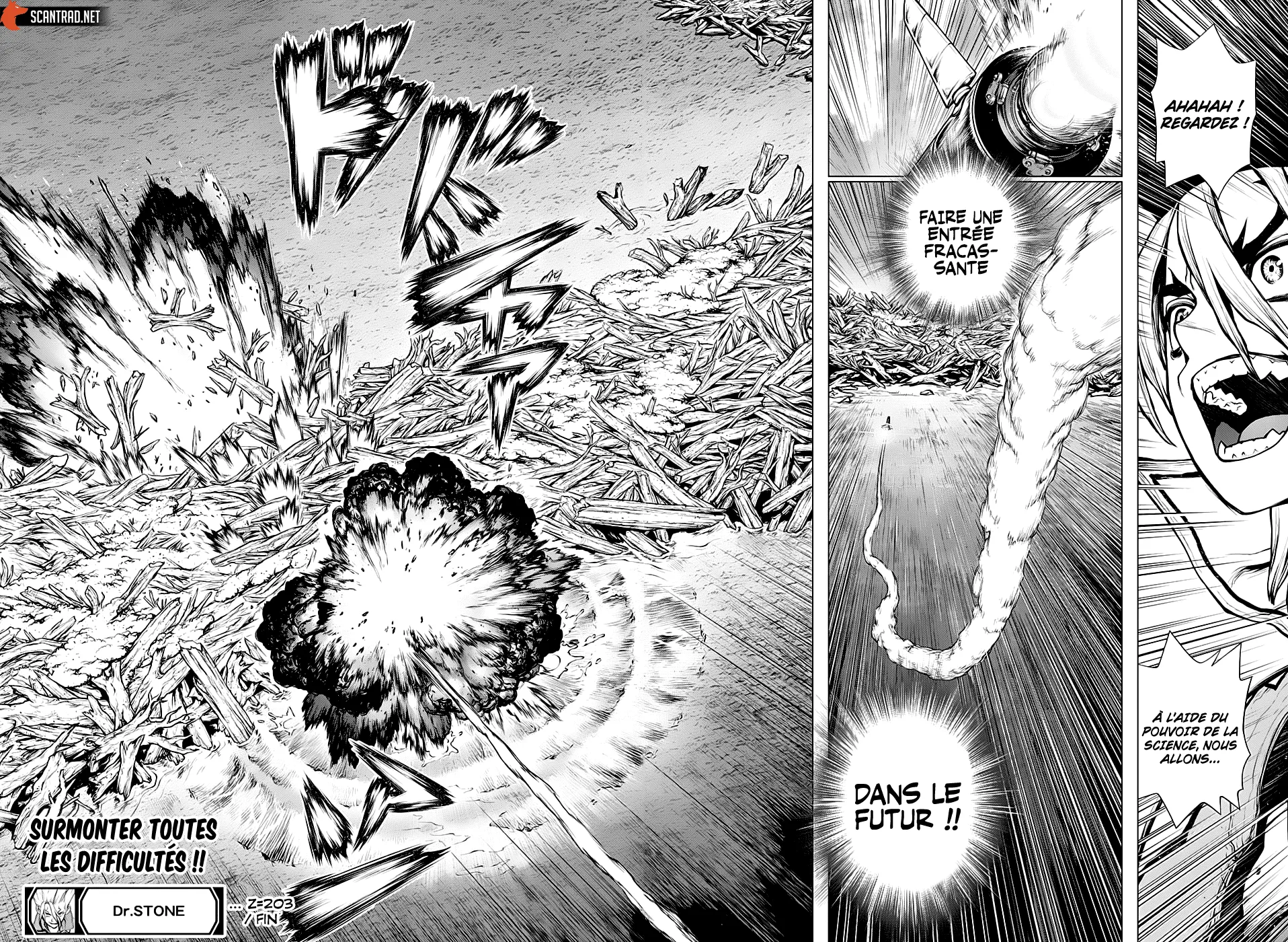 Read Dr. STONE FRANCAIS Manga Online