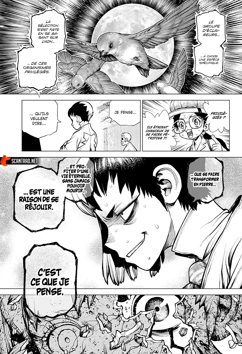 Read Dr. STONE FRANCAIS Manga Online