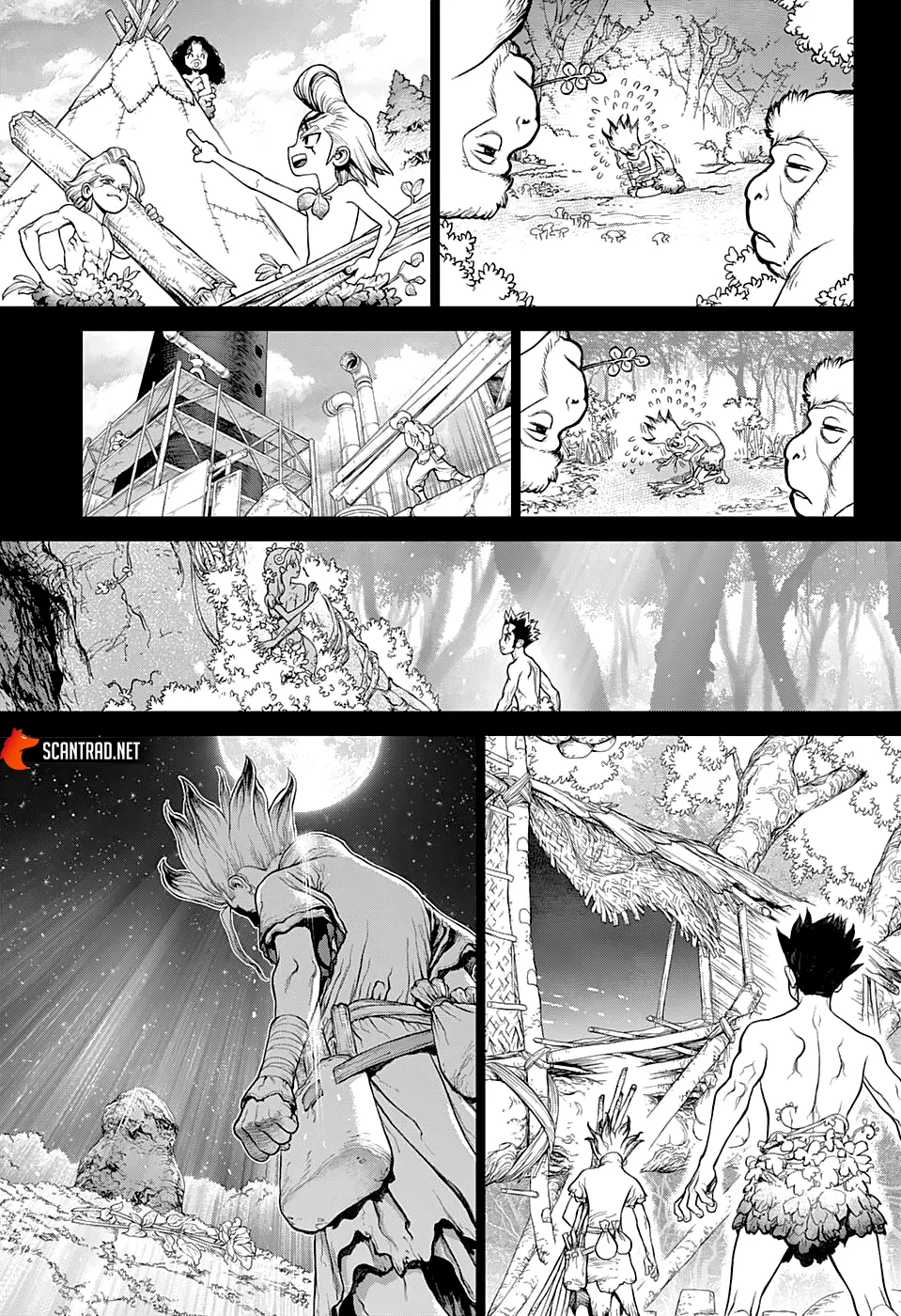Read Dr. STONE FRANCAIS Manga Online
