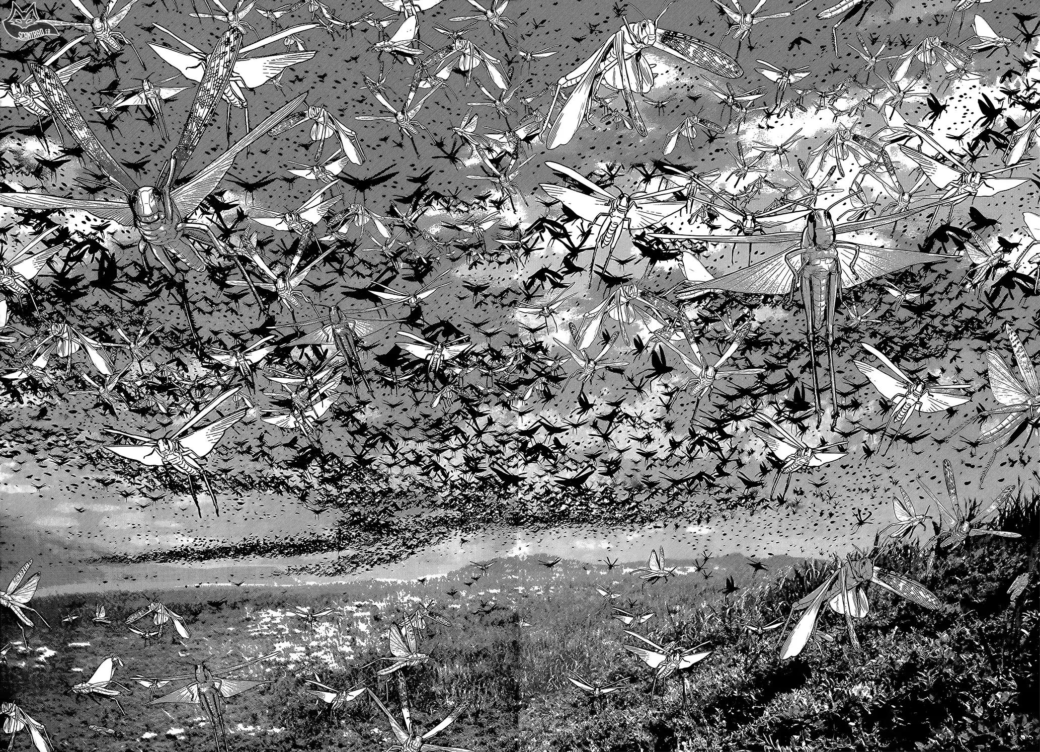 Read Golden Kamuy FRANCAIS Manga Online