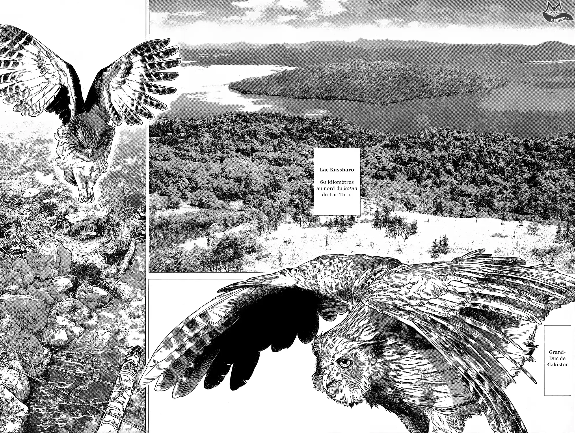 Read Golden Kamuy FRANCAIS Manga Online