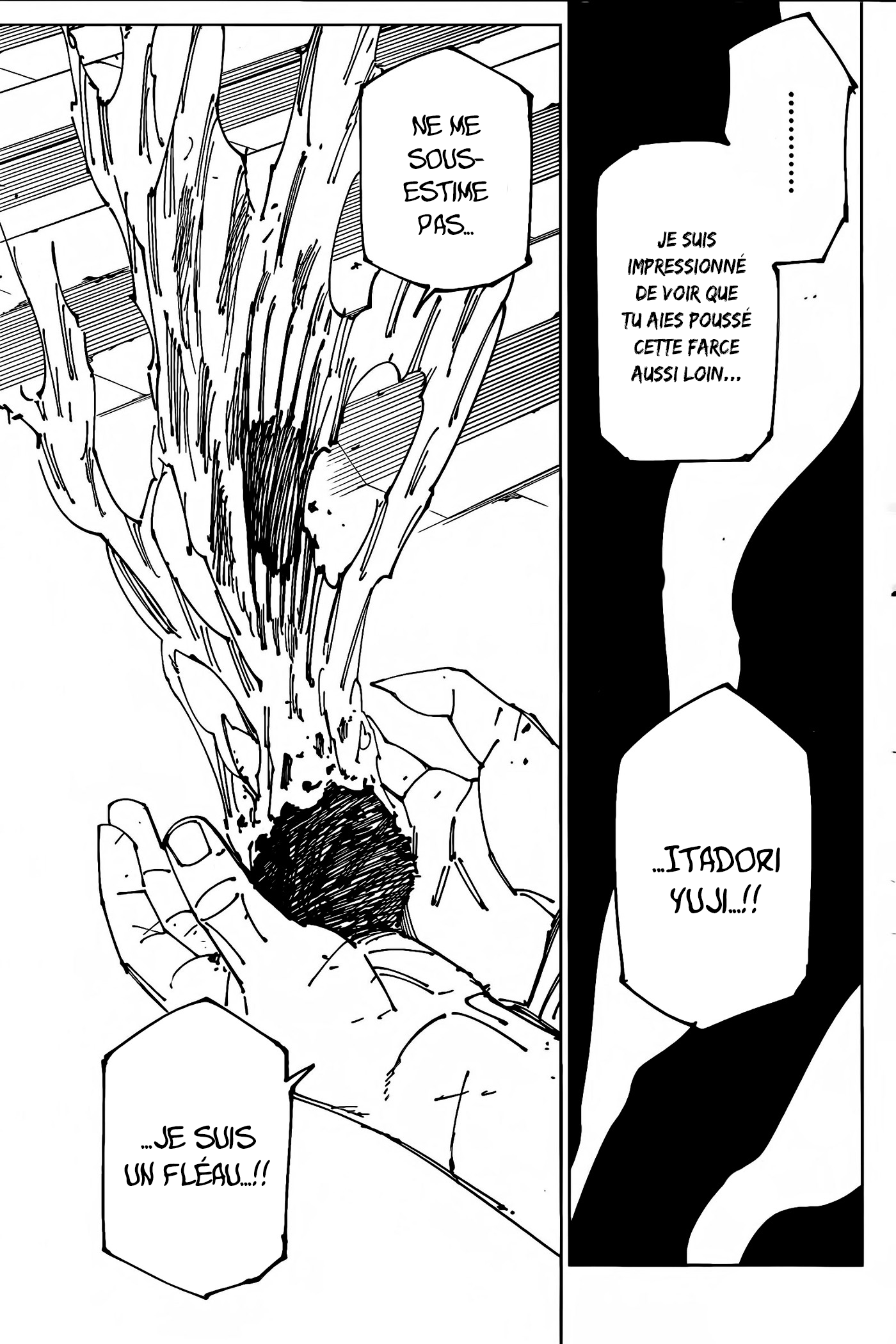 Read Jujutsu Kaisen FRANCAIS Manga Online