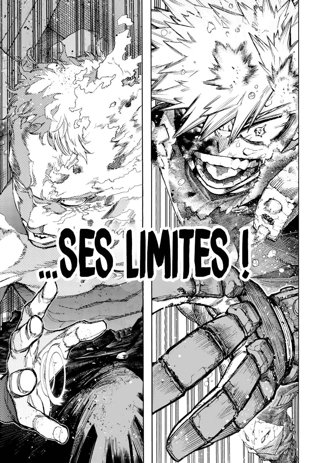 Read My Hero Academia FRANCAIS Manga Online