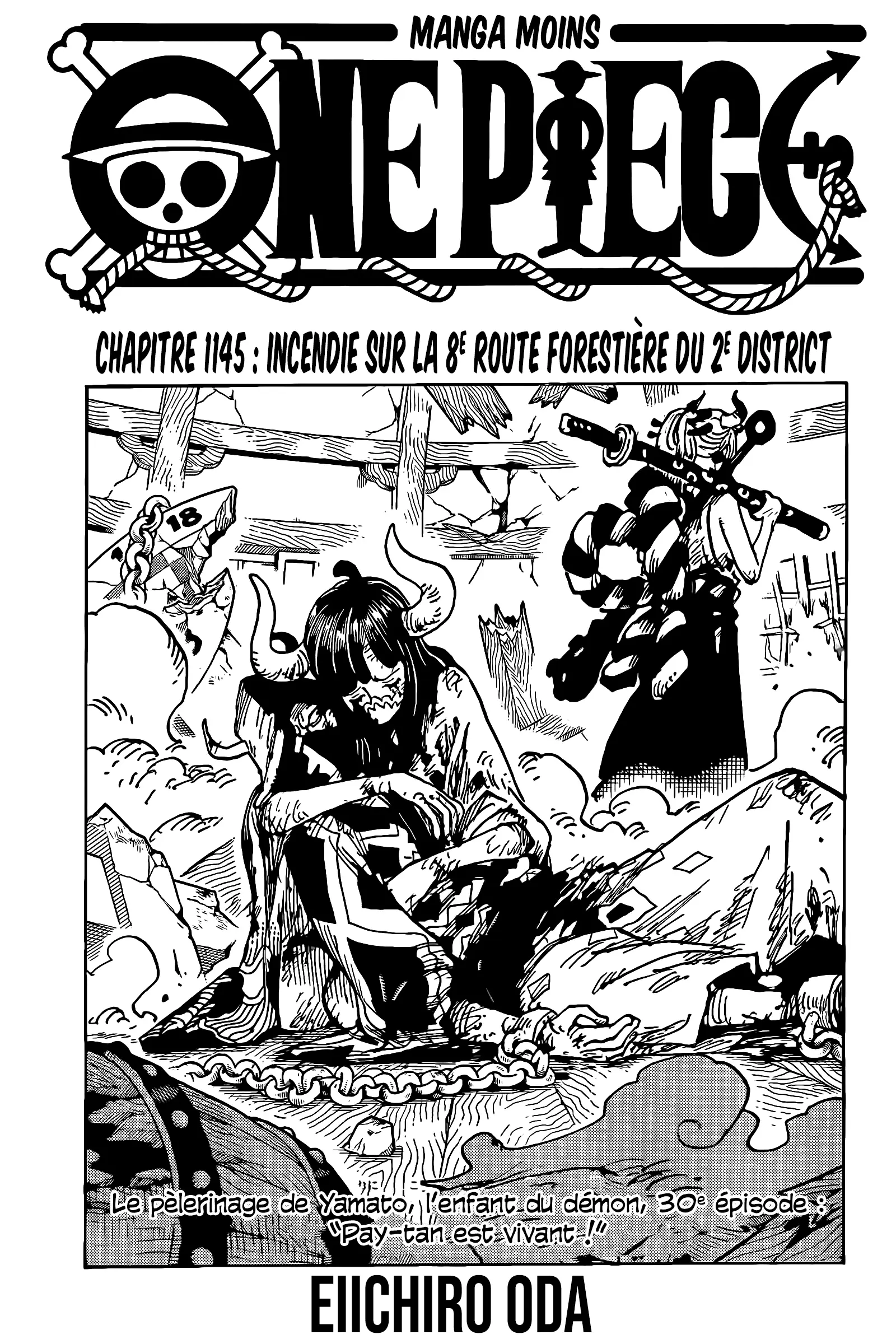 Read One Piece FRANCAIS Manga Online