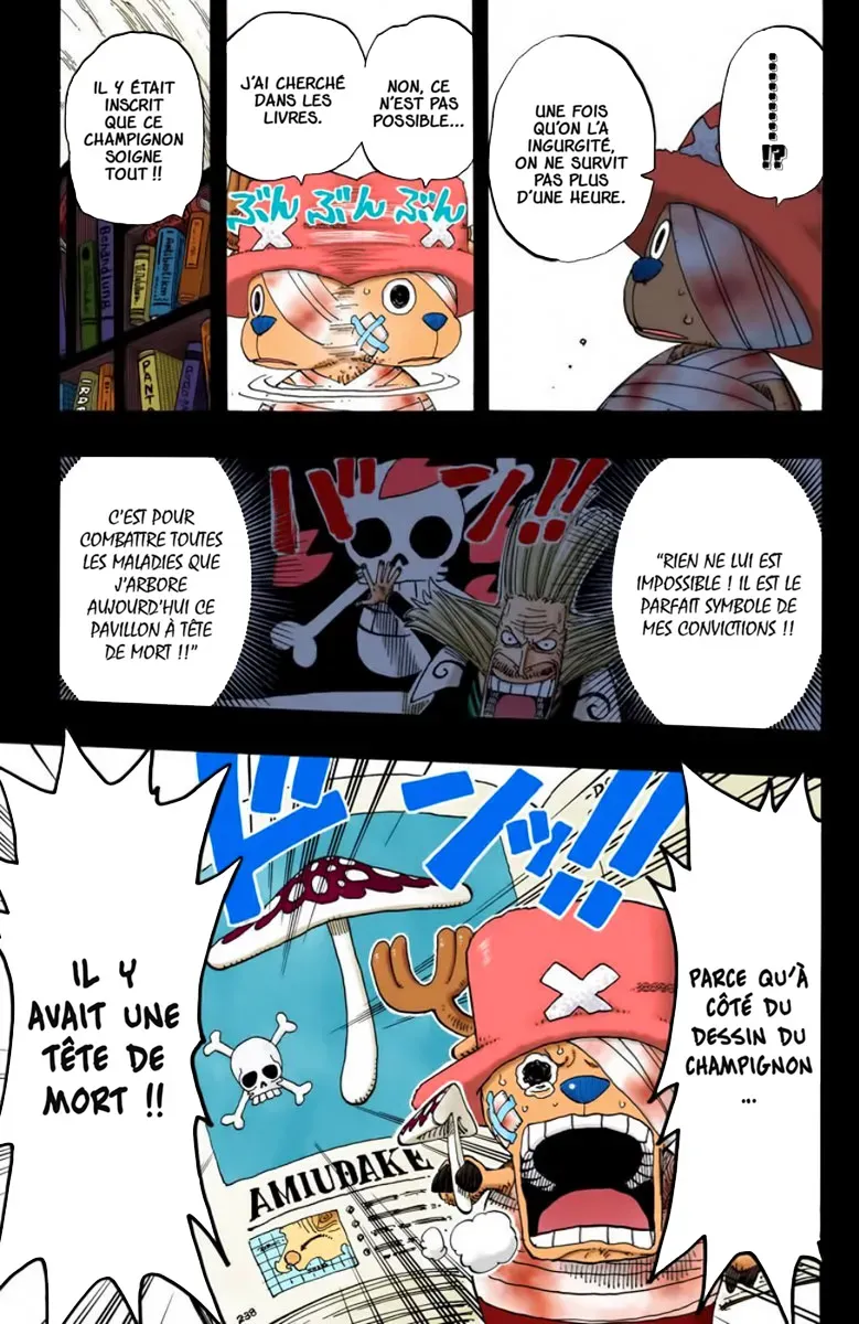 Read One Piece FRANCAIS Manga Online