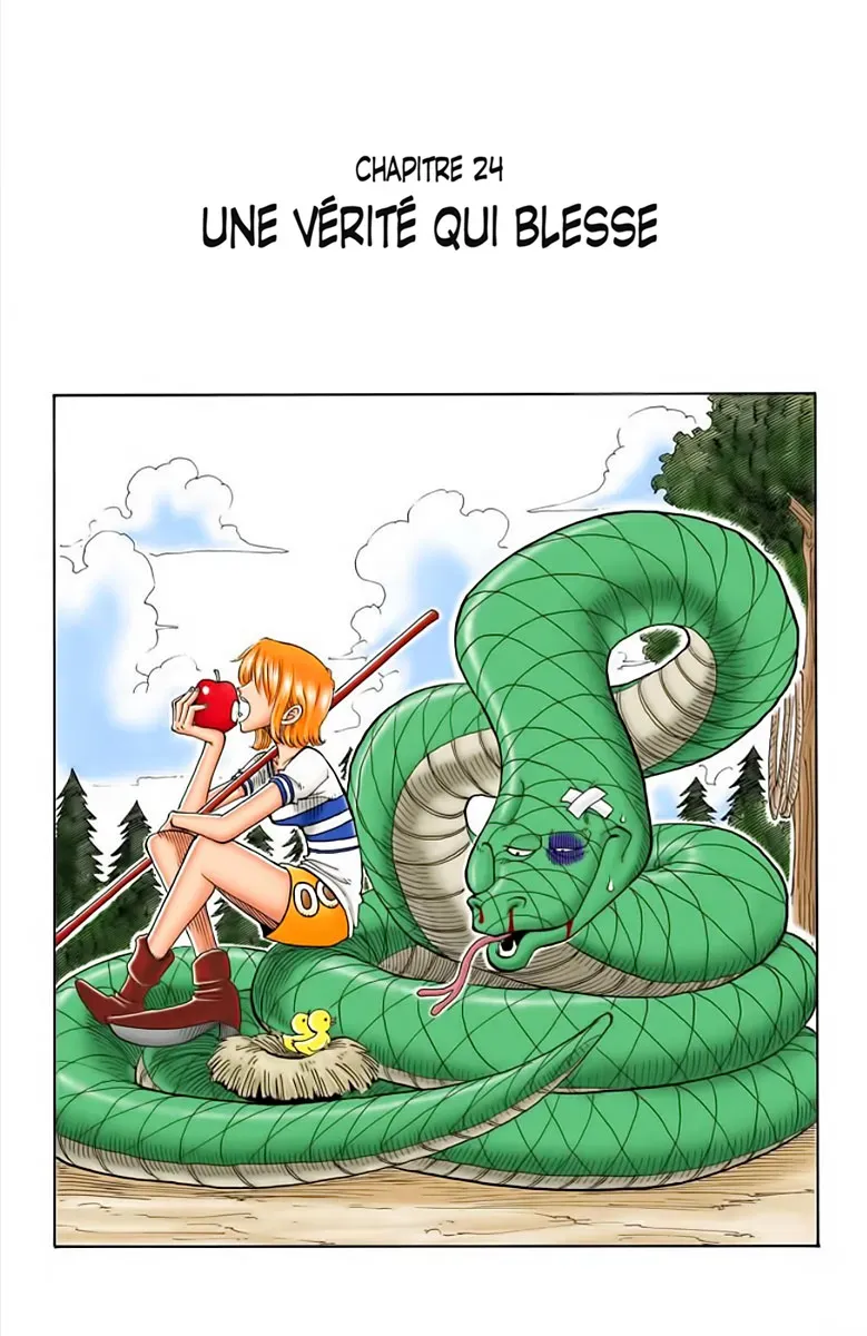 Read One Piece FRANCAIS Manga Online