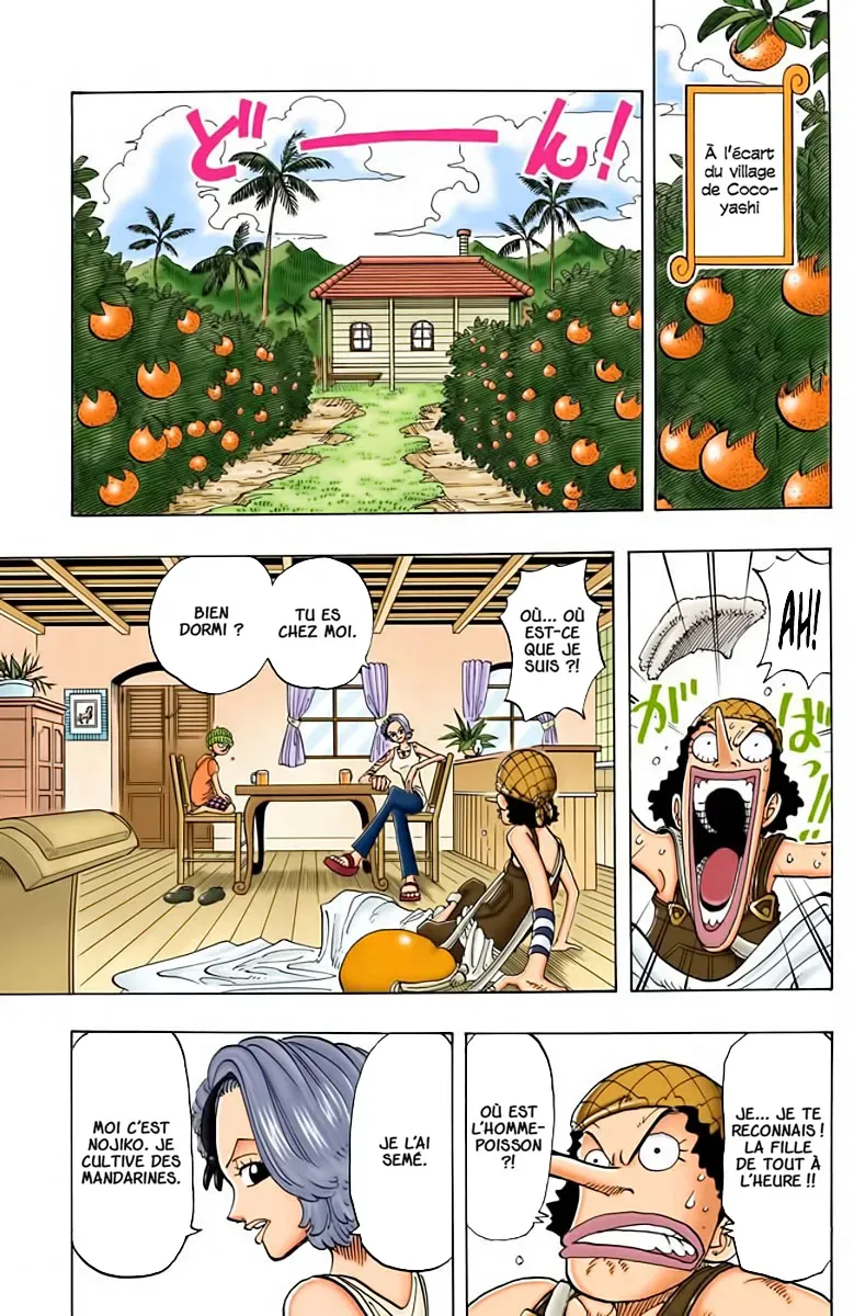 Read One Piece FRANCAIS Manga Online