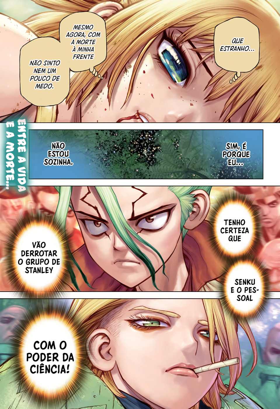 Read Dr. Stone Português Manga Online