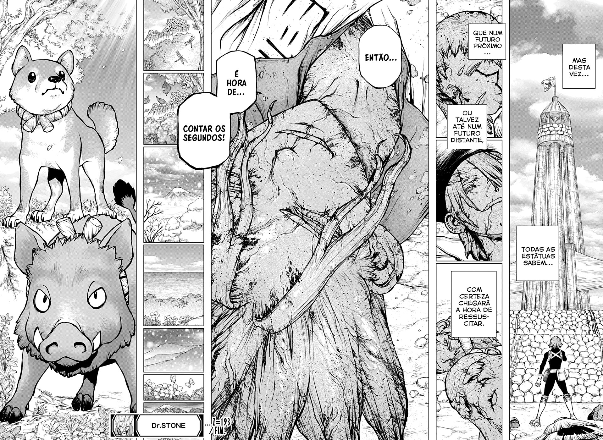 Read Dr. Stone Português Manga Online