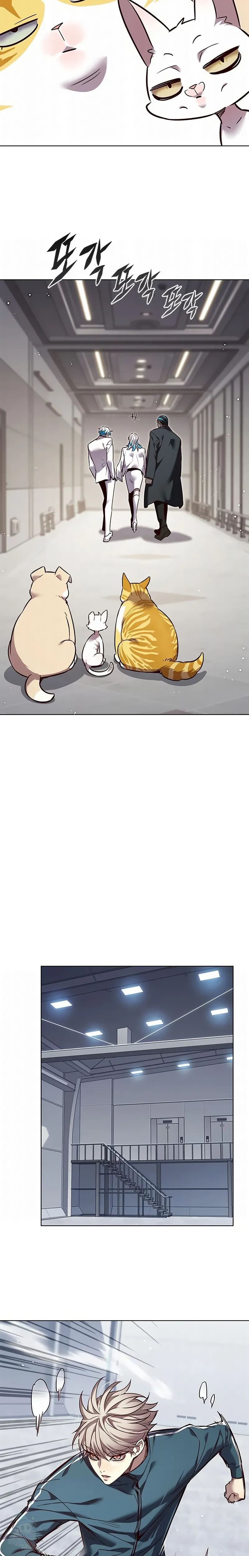 Read Eleceed Português Manga Online