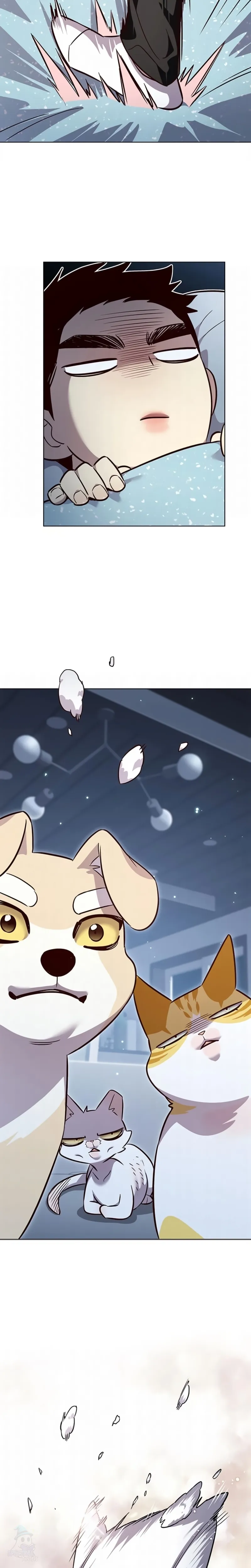 Read Eleceed Português Manga Online